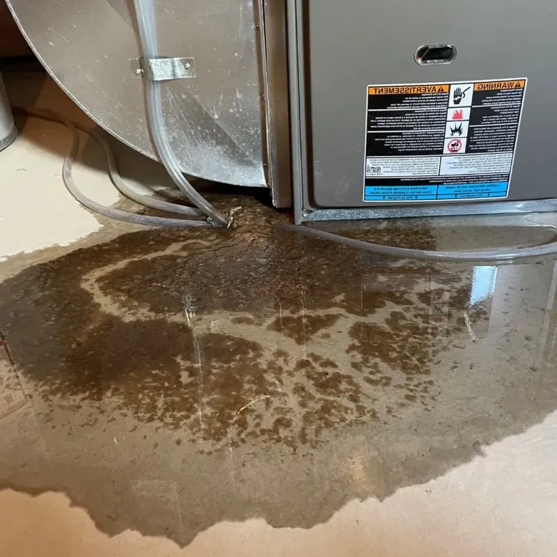 Pipe Burst and Leak Restoration in Kings Mills, OH